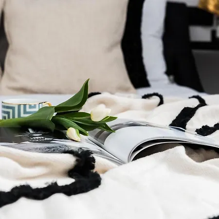 Copper Ii - Loftaffair * Cracovie